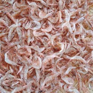 Prawn(Kardi / Ambad / Sukat)